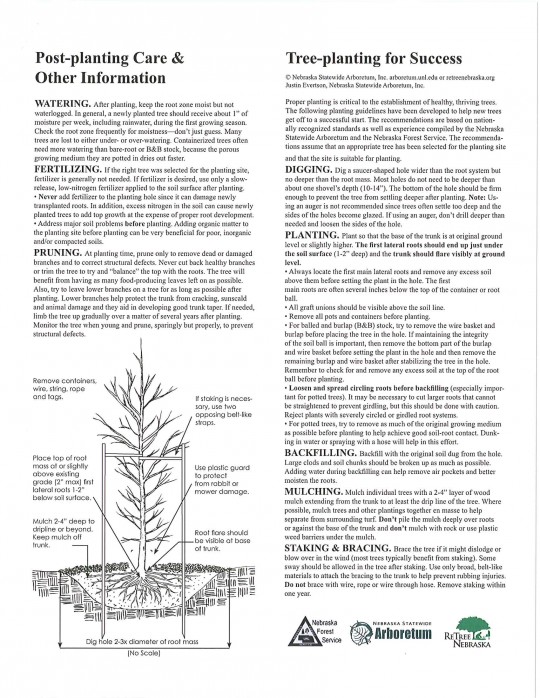 planting_handout_guide_thumb-90.jpg